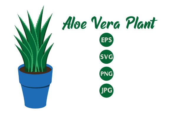 Aloe Vera Plant Graphics: A Designer's Guide