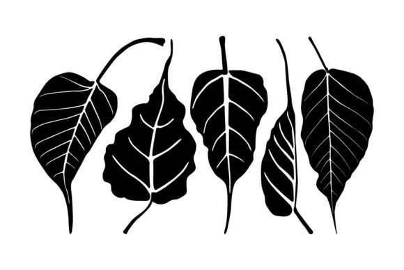 Bodhi Leaves Silhouette Vector: A Practical Asset for Creative and Commercial Workflows
